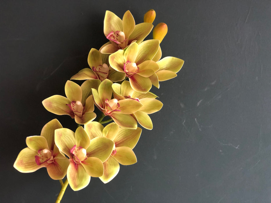 Faux Cymbidium Orchid