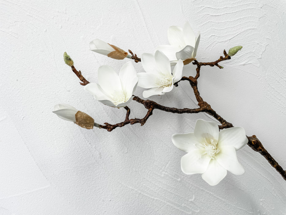 Faux Baby Magnolia - White